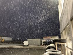 【KAZO店】 初雪